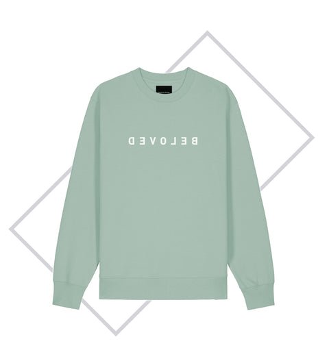 Herren Sweatshirt (8 Farben)