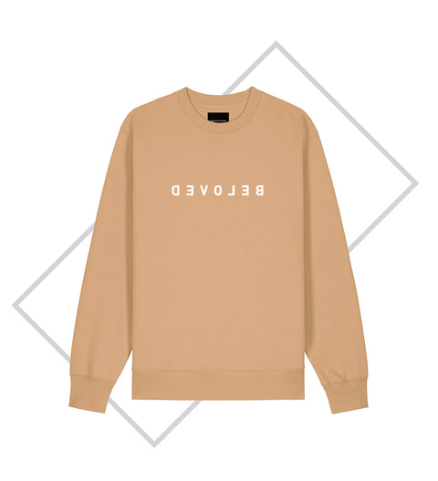 Herren Sweatshirt (8 Farben)
