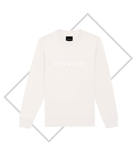 Herren Sweatshirt (8 Farben)