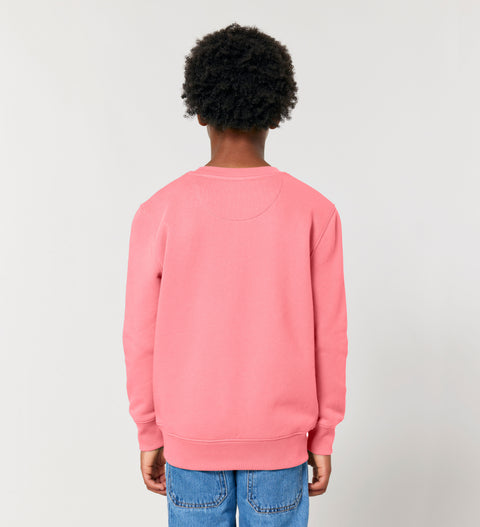 Kids Classic Sweatshirt (5 Farben)